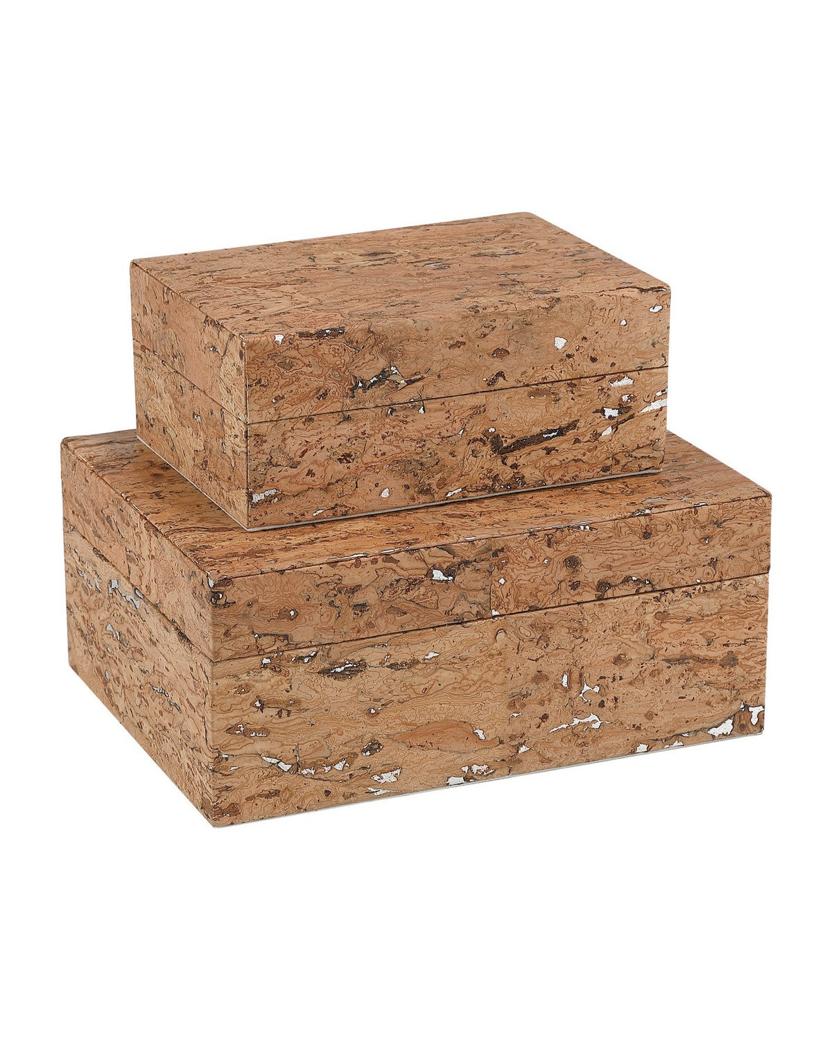 Currey and Company - 1200-1149 - Box Set of 2 - Comporta - Natural