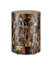 Currey and Company - 4000-0266 - Accent Table - Brewster - Natural Brown & Black