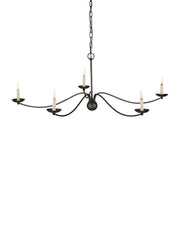 Currey and Company - 9000-1485 - Five Light Chandelier - Franz - Black