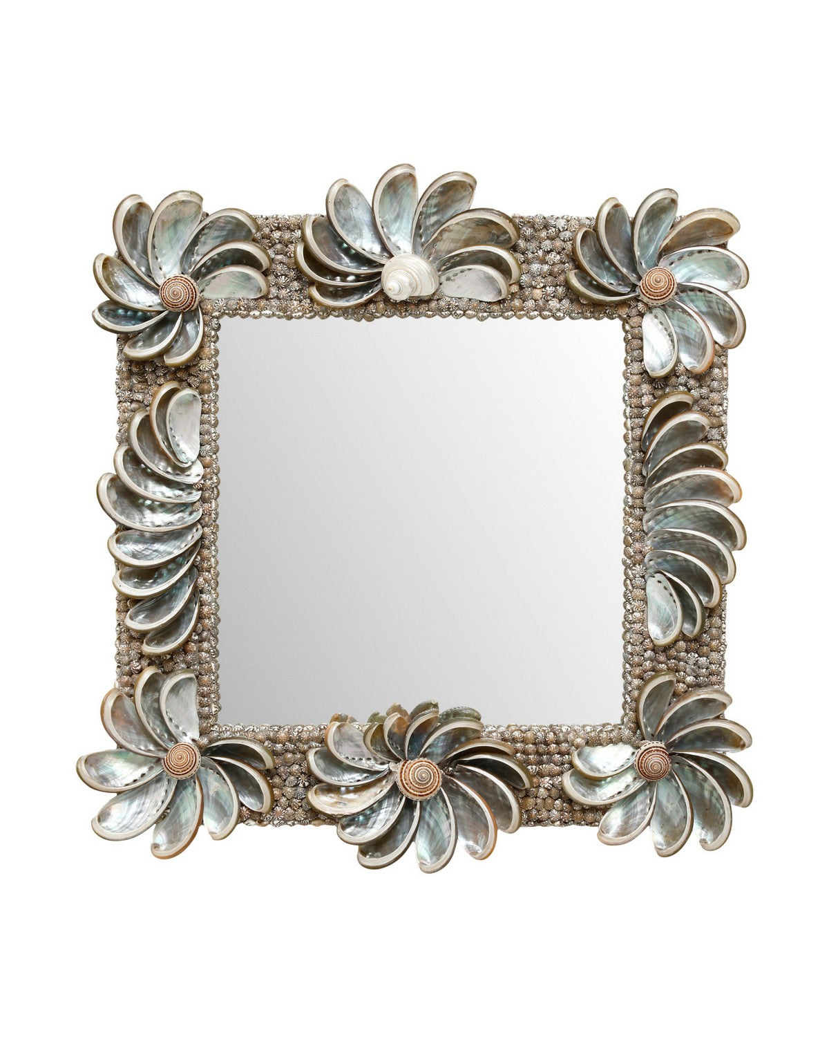 Currey and Company - 1000-0175 - Mirror - Halcyon - Natural / Silver