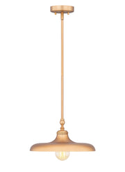 Z-Lite - 2308P14-RB - One Light Pendant - Camden - Rubbed Brass