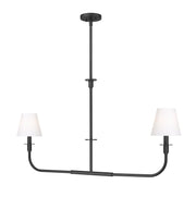 Z-Lite - 3049-42L-MB - Two Light Linear Chandelier - Tova - Matte Black