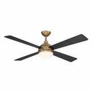 Minka Aire - F623L-BBR/CL - 54" Ceiling Fan - Orb - Brushed Brass