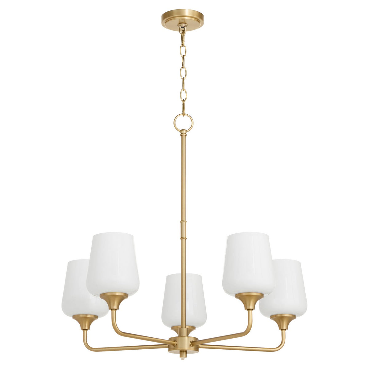 Quorum - 6313-5-280 - Five Light Chandelier - Raymond - Aged Brass