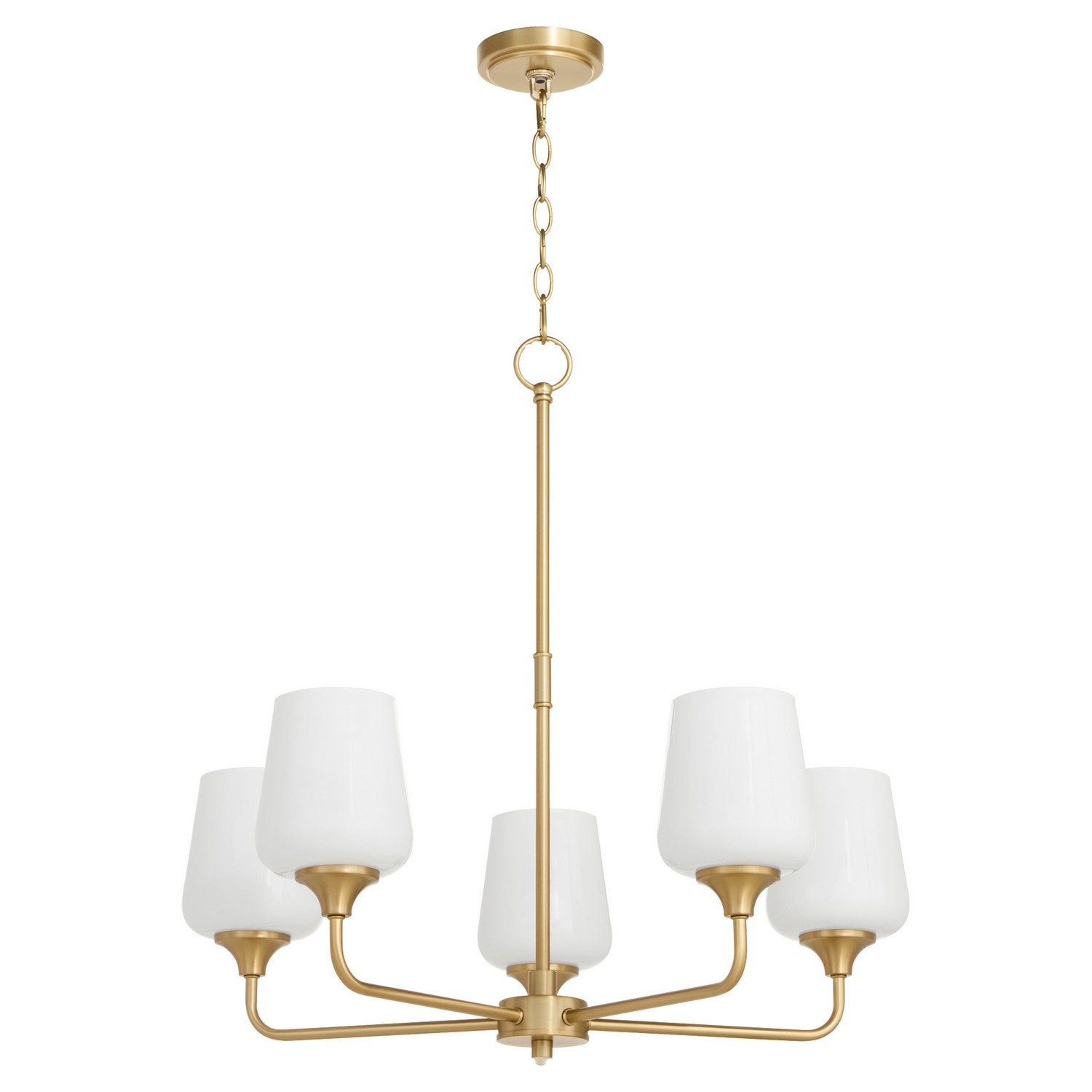 Quorum - 6313-5-280 - Five Light Chandelier - Raymond - Aged Brass