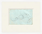 Aqua One Line-Shrimp