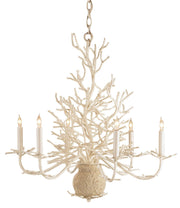Currey and Company - 9218 - Six Light Chandelier - White Coral/Natural Sand