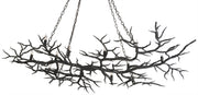 Currey and Company - 9007 - 14 Light Chandelier - Rustic Bronze