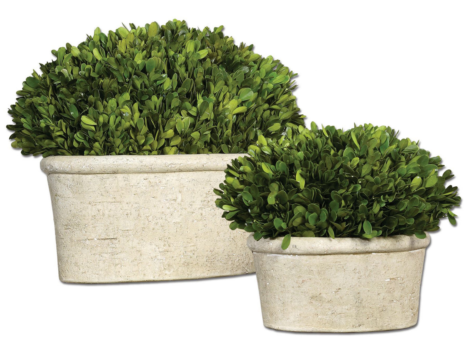 Uttermost - 60107 - Preserved Boxwood Set/2 - Preserved Boxwood - Stone