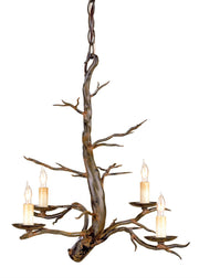 Currey and Company - 9307 - Four Light Chandelier - Old Iron