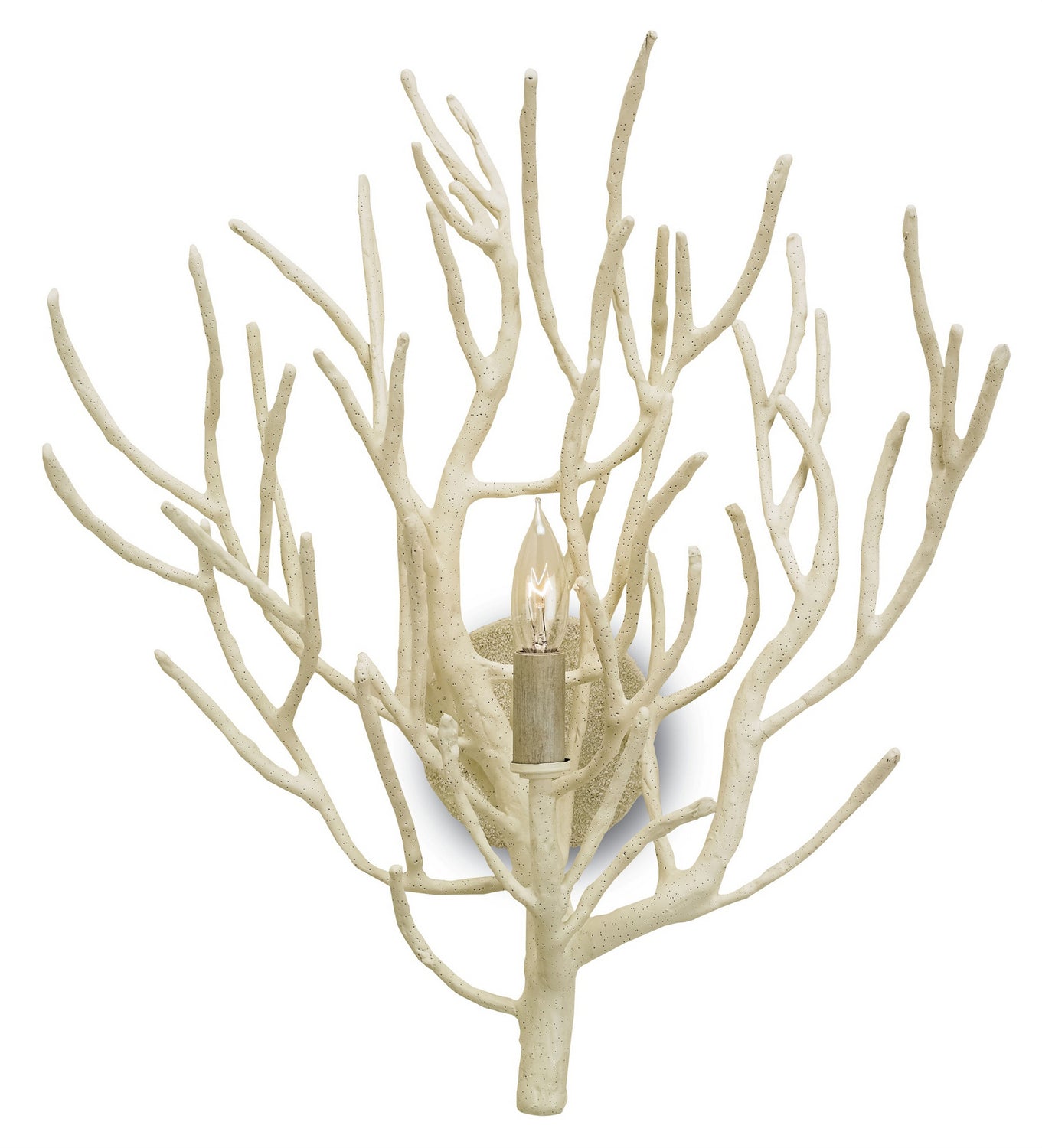 Currey and Company - 5158 - One Light Wall Sconce - White Coral