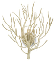 Currey and Company - 5158 - One Light Wall Sconce - White Coral