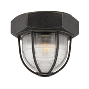 Troy Lighting - C3891-APW - One Light Flush Mount - Acme - Aged Pewter