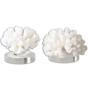 Uttermost - 19910 - Sculpture, Set/2 - Hard Coral - Textured Cream