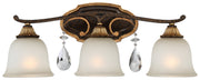 Metropolitan - N1463-652 - Three Light Bath - Chateau Nobles - Raven Bronze With Sunburst Gold Leaf Highlights