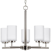 Generation Lighting - 31161-962 - Five Light Chandelier - Oslo - Brushed Nickel