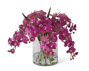 FUCHSIA ORCHID & VASE