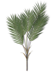 5 STEM PALM BRANCH