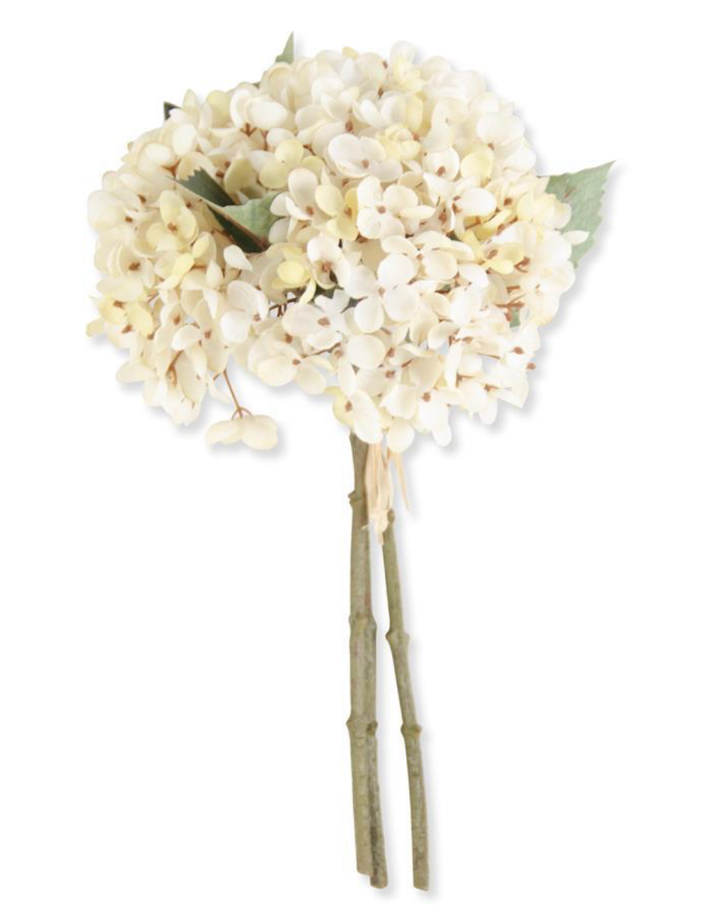CREAM HYDRANGEA BUNDLE (3 STEMS)