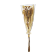 NATURAL PRESERVED THISTLE