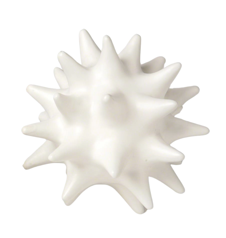 URCHIN DECOR